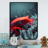 Red Deepsea Crab In Red And Black V