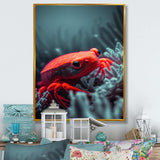 Red Deepsea Crab In Red And Black V