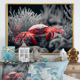 Red Crab In Shades Of Black And Blue II