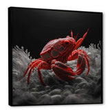 Red Deepsea Crab In Red And Black VI