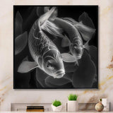 Monochrome Koi Fish