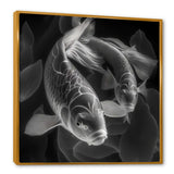 Monochrome Koi Fish