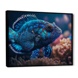 Beautiful Mandarin Fish In Shades Of Blue III