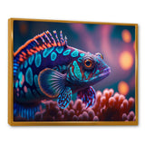 Beautiful Mandarin Fish In Shades Of Purple