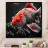 Black And Red Tropical Fish I