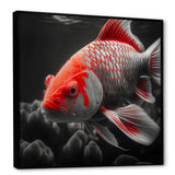 Black And Red Tropical Fish I