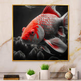 Black And Red Tropical Fish I