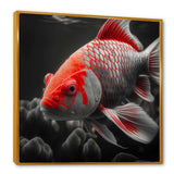 Black And Red Tropical Fish I