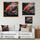 Black And Red Tropical Fish I