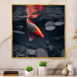 Black And Red Tropical Fish II