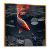 Black And Red Tropical Fish II