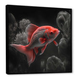 Black And Red Tropical Fish III