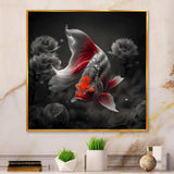 Black And Red Tropical Fish IV