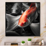 Black And Red Tropical Fish V