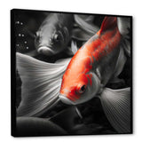 Black And Red Tropical Fish V