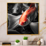 Black And Red Tropical Fish V