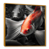 Black And Red Tropical Fish V