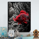 Black And Red Tropical Fish VII