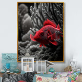 Black And Red Tropical Fish VII