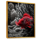 Black And Red Tropical Fish VII