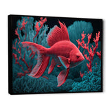 Tropical Fish In Shades Of Red And Blue III