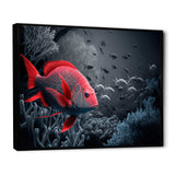 Tropical Fish In Shades Of Red And Blue IV