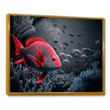 Tropical Fish In Shades Of Red And Blue IV