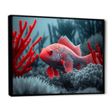 Tropical Fish In Blue And Red II