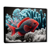 Tropical Fish In Blue And Red III