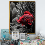 Black And Red Tropical Fish IX