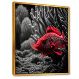 Black And Red Tropical Fish IX