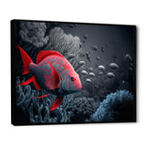 Tropical Fish In Blue And Red IV