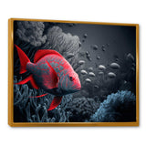 Tropical Fish In Blue And Red IV