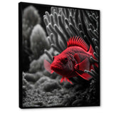 Mysterious Tropical Fish In Blue And Red II