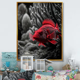 Mysterious Tropical Fish In Blue And Red II