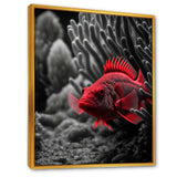 Mysterious Tropical Fish In Blue And Red II