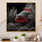 Mysterious Tropical Fish In Blue And Red III