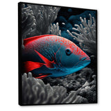 Mysterious Tropical Fish In Blue And Red IV