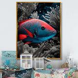 Mysterious Tropical Fish In Blue And Red V