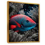 Mysterious Tropical Fish In Blue And Red V