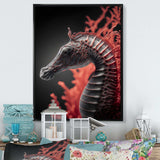 Seahorse In Red And Black