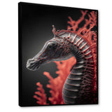 Seahorse In Red And Black