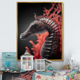 Seahorse In Red And Black