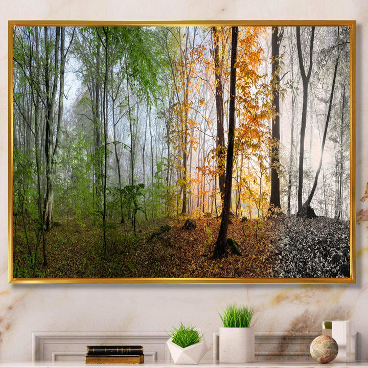 Morning Forest Panorama