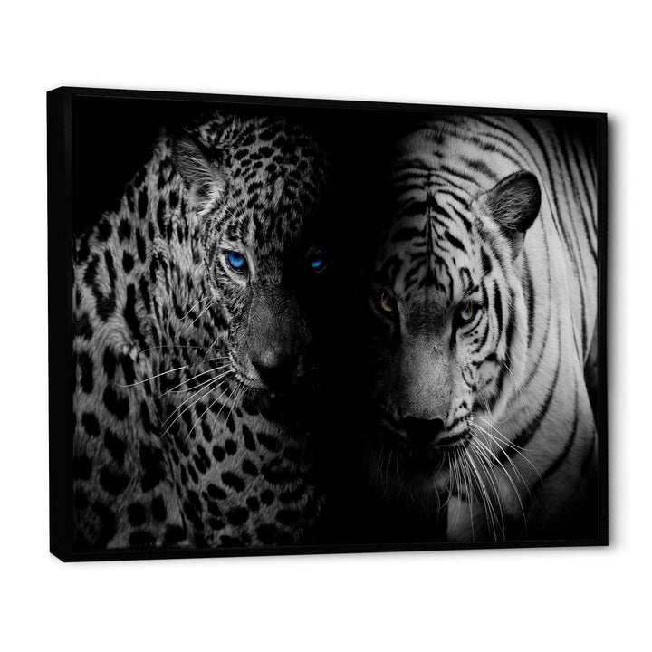 Leopard and Tiger in Black