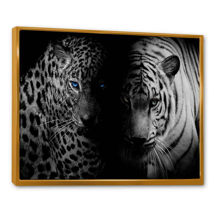 Leopard and Tiger in Black