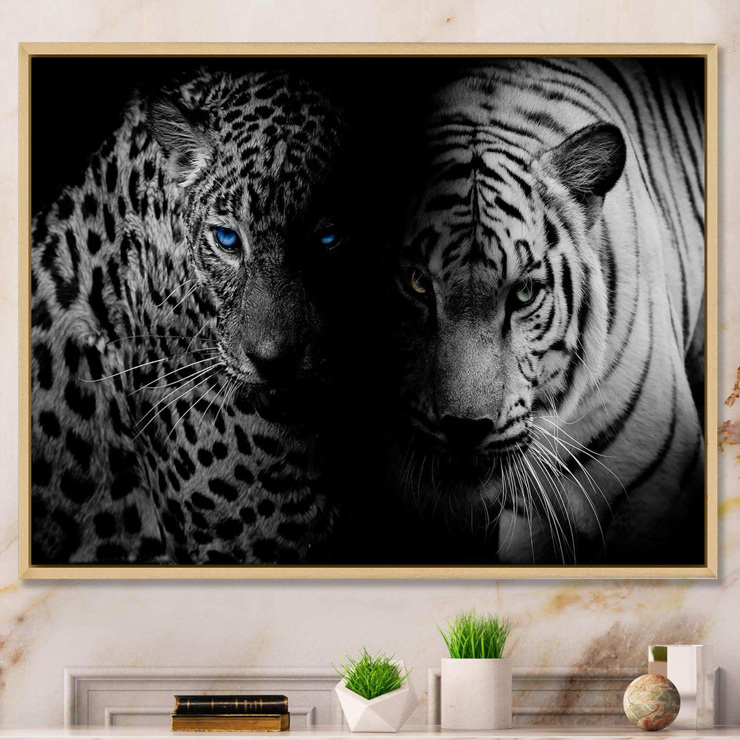 Leopard and Tiger in Black