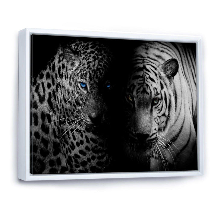 Leopard and Tiger in Black