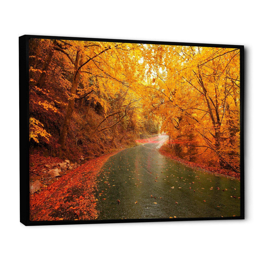 Autumn Light Trails on Road
