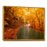 Autumn Light Trails on Road